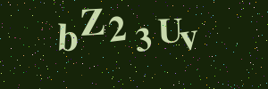 Validation image