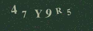 Validation image